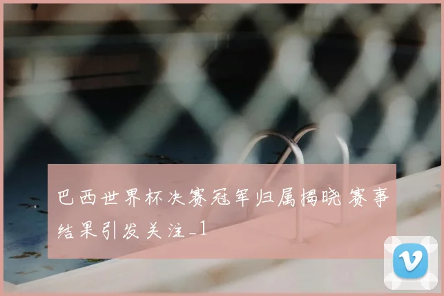 巴西世界杯决赛冠军归属揭晓 赛事结果引发关注_1